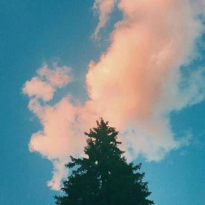 竞速PK10手机应用下载截图