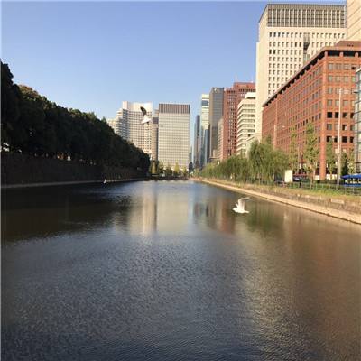 云开全站app手机app下载