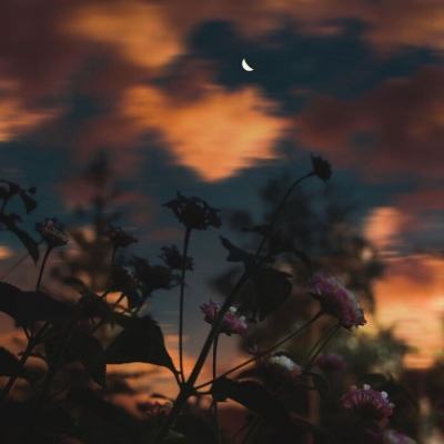 博鱼综合体育在线登录入口