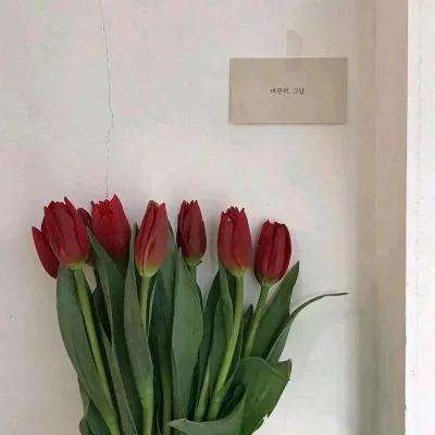 大众彩票入口welcome手机app下载